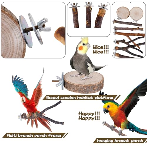 8 Pieces Bird Perch Natural Wooden Parrot Perch Stand Fork Toys Hanging Multi-Branch Perches Platform Hammock Swing Toy for Macaws, Small Parakeets, Conures, Budgies, Finches (A-Color, Mix)