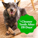Greenies Veterinarian-Recommended Adult Natural Dental Dog Treats Teenie Size, Dog Dental Chews, Original Flavor, 12 oz. Pack, 43 Count