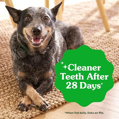 Greenies Veterinarian-Recommended Adult Natural Dental Dog Treats Teenie Size, Dog Dental Chews, Original Flavor, 36 oz. Pack, 130 Count