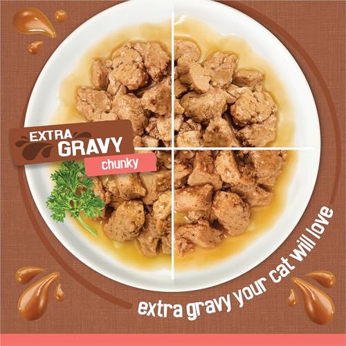 Purina Friskies Extra Gravy Wet Cat Food Chunky 24ct Variety Pack (With Chicken, Turkey, Salmon, Beef) - (Pack of 24) 5.5 oz. Cans