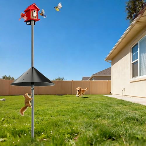 79" Smart Bird Feeder Pole Stand with 19" Proof Squirrel Baffle - Dia 1 Inch Bird House Pole for Camera Birdfeeder, Feeding Station for Outdoors Heavy Duty, Compatible Post Mount