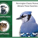 Pennington Classic in Shell Peanuts 5 pounds
