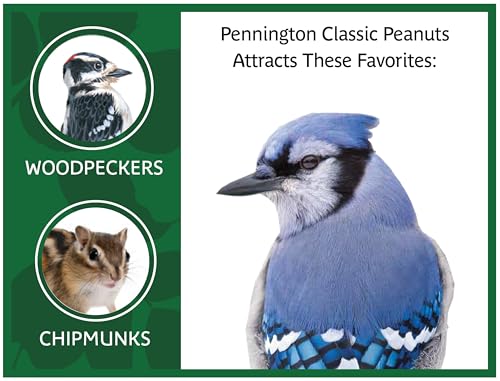 Pennington Classic in Shell Peanuts 5 pounds