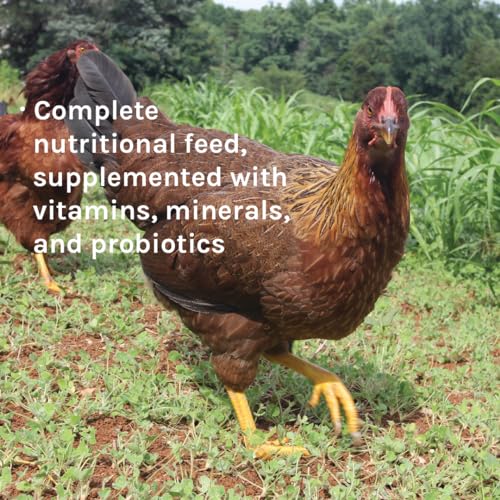 New Country Organics | Corn-Free Classic Layer Chicken Feed for Laying Hens | Corn-Free and Soy-Free | 17% Protein | Certified Organic and Non-GMO Chicken Food | 25lbs Bag