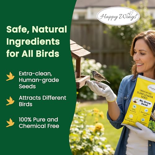 Happy Wings Black Oil Sunflower Seeds – 5 lb Wild Bird Food for Cardinals, Finches & Chickadees – High-Energy Natural Bird Feed for All Life Stages