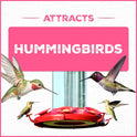 Pennington Electro-Nectar Hummingbird Nectar Ready to Use, Naturally Colored with Electrolytes, 64-oz Bottle
