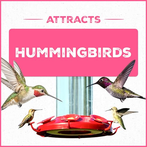 Pennington Electro-Nectar Hummingbird Nectar Ready to Use, Naturally Colored with Electrolytes, 64-oz Bottle