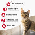 Nulo Freestyle Cat & Kitten Dry Food - Chicken & Cod Recipe, High Protein Grain Free Cat Food, Natural Kibble with Probiotics & Omega Fatty Acids, 4lb Bag