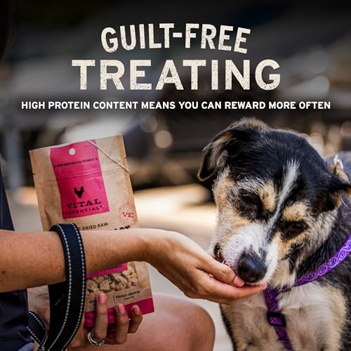 Vital Essentials Freeze Dried Dog Treats | Salmon Bites, Single Protein | Premium Quality | Grain Free Training Treats for Dogs, 2.5 oz Bag