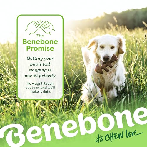 Benebone Fishbone Durable Dog Chew Toy for Aggressive Chewers, Real Fish, Made in USA, Medium