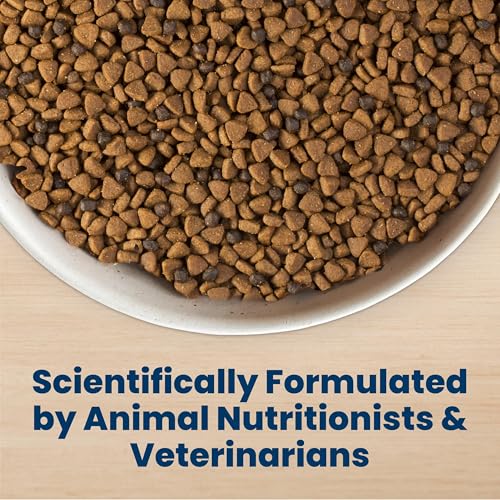 Blue Buffalo Life Protection Formula Chicken & Brown Rice Puppy Dry Dog Food with DHA & ARA, Supports Immunity with Antioxidant-Rich LifeSource Bits, Promotes Healthy Muscles & Strong Bones, 5 lbs.
