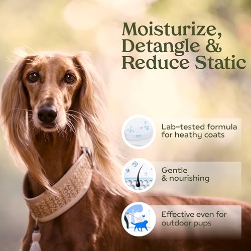 PAWFUME Dog Perfume Spray Long Lasting Scent for Grooming, Show Dog, 1-Pack – Keep Your Pup Fresh All Day – Hypoallergenic, Alcohol-Free, Detangling Formula – Moisturizing Pet Cologne Spray for Dogs