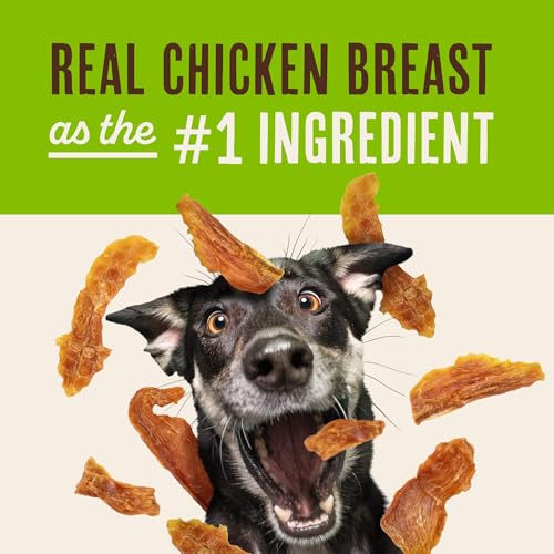 Waggin' Train Chicken Jerky Dog Treats, Made with 100% Real Chicken Breasts, Only Two All-Natural Ingredients, Great High Protein Dog Treat, Easily Digestible for Big or Small Dogs, 30 oz. Pouch