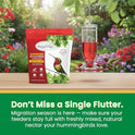 Happy Wings Hummingbird Food Powder 2 Lb (32 Oz) – Natural Red Nectar for Hummingbird I Makes 192 fl oz Solution – Nectar Hydration Powder Made with Cranberry & Beetroot – Easy Mix, No Boil Formula