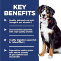 Hill's Science Diet Adult 1-5 Large Breed Dry Dog Food, Chicken & Barley, 35 lb. Bag