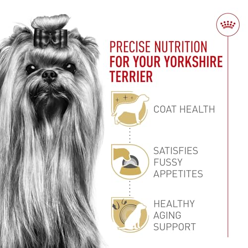 Royal Canin Breed Health Nutrition Yorkshire Terrier Adult Dry Dog Food, 2.5 lb Bag