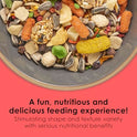 Kaytee Fiesta Conure Food, Nutritious and Fun Blend, Supports Skin, Feather, Digestion, Brain and Heart Health, 4.5 pounds