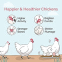 Mile Four Chick Grit for Baby Chicks - Chickens Age 0-8 Weeks, 100% Natural Mineral Chick Grit Quartzite, Poultry Grit Digestive Aid, USA Mined, 4 lbs