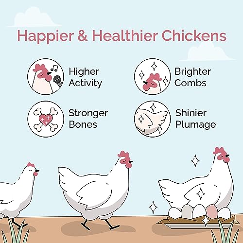 Mile Four Chick Grit for Baby Chicks - Chickens Age 0-8 Weeks, 100% Natural Mineral Chick Grit Quartzite, Poultry Grit Digestive Aid, USA Mined, 4 lbs