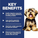 Hill's Science Diet Adult 1-6 Small & Mini Dry Dog Food, Chicken & Brown Rice, 15.5 lb. Bag
