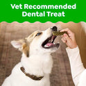 Greenies Dog Treats Veterinarian-Recommended Natural Dental Treats for Dogs, Teenie Size, Fresh Flavor, 12 oz. Pack, 43 Count
