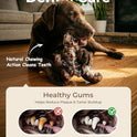 2 Pack Tough Dog Toys for Aggressive Chewers: Ultra-Dense Nylon, Durable Dog Bones, Bacon Flavor, Heavy Duty Dog Chew Toys for Large Dogs 20-90 lbs, Long Lasting & Keep Them Busy
