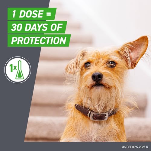 FRONTLINE Plus Flea & Tick Spot Treatment for Small Breed Dogs 5-22 lbs. (Orange) Count of 3 | Trusted by pet owners for over 20 years, kills fleas, ticks & chewing lice, waterproof 24 hr