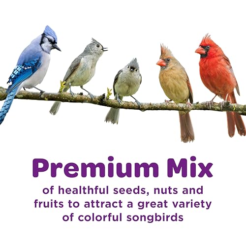 Kaytee Nut & Fruit Wild Bird Seed, 5 lb