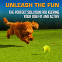 Nerf Dog Tennis Ball Blaster Dog Toy Gift Set, Tennis Ball Dog Fetch Toy Launches up to 50 ft, Dog Ball Thrower for All Breeds Includes Translucent Blue Tennis Ball Launcher and 3 Dog Tennis Balls