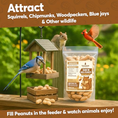 10 LB - Raw Peanuts For Squirrels, Raw In Shell Peanuts For Birds and Wildlife- Squirrel Food, Wild Bird Seed - Grown in The USA