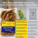 Birds LOVE® Millet Tips & Tails for Birds – Premium Spray Millet Treat, Grown in the USA – Natural & Healthy Bird Food for Parakeets, Cockatiels, Budgies, Lovebirds, Finches, Canaries & Parrots – 1 lb
