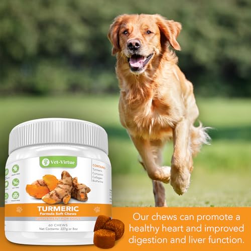 Turmeric for Dogs, Organic Curcumin Joint Supplement, 60 Chews | Helps support hips, mobility and a healthy inflammatory response; made with collagen and BioPerine for absorption