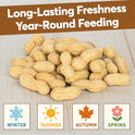 10 LB - Raw Peanuts For Squirrels, Raw In Shell Peanuts For Birds and Wildlife- Squirrel Food, Wild Bird Seed - Grown in The USA