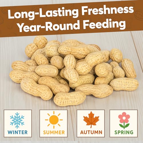 10 LB - Raw Peanuts For Squirrels, Raw In Shell Peanuts For Birds and Wildlife- Squirrel Food, Wild Bird Seed - Grown in The USA