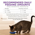 Purina Cat Chow Gentle Sensitive Stomach and Skin Dry Cat Food with Turkey - 13 lb. Bag