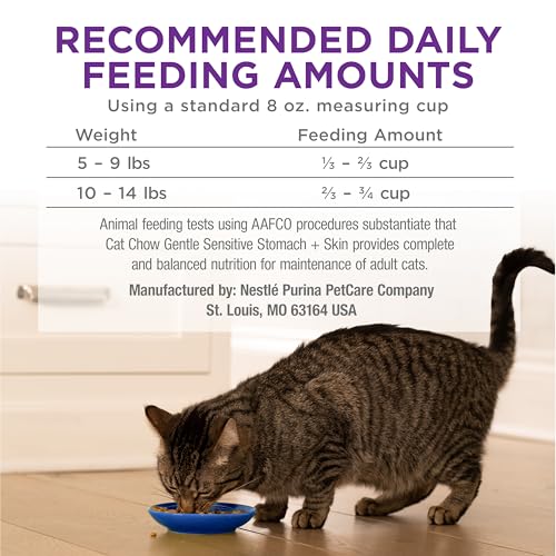 Purina Cat Chow Gentle Sensitive Stomach and Skin Dry Cat Food with Turkey - 13 lb. Bag