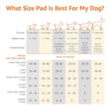 Basics Leak-Proof Dog and Puppy Potty Training Pee Pads with Quick-Dry 5-Layer Super Absorbent Design, Regular Size 22 x 22 inch, Blue & White, 100 Count
