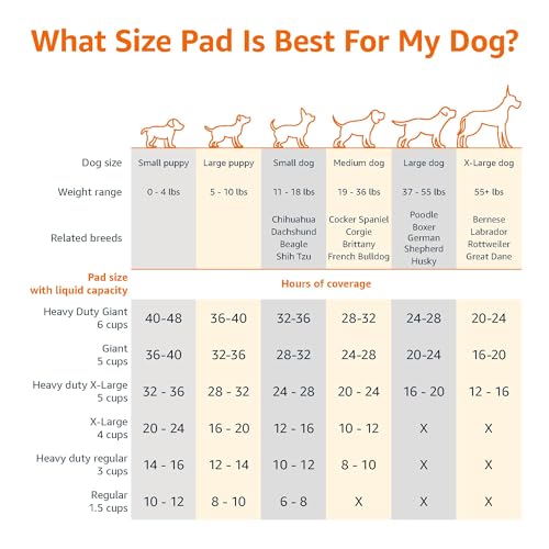 Basics X-Large Heavy Duty Absorbent Puppy Potty Pads, Leak-Proof, Quick-Dry, Super Absorbent Gel Technology for Dog Training, 28 x 34 Inches, Blue & White, Pack of 50