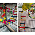 DS. DISTINCTIVE STYLE Bird Ladder Toys Coloured Flexible Parrot Swing Bridge Wooden Cockatiel Cage Hanging Climbing Ladder (39 in (16 Steps))