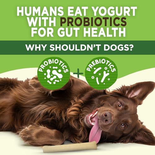 EcoKind Yogurt Dog Chews – Bacon | Dog Treats with Probiotics for Digestive Health, Gut Support & Wellness | Lactose Free, Grain Free, Natural Dog Treat | for All Breeds | USA Made | 25 Chews