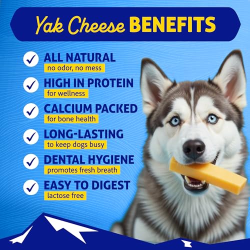 Himalayan Dog Chew Original Yak Cheese Dog Chews, The Better-For-You Chew, 100% Natural, Long Lasting, Healthy Safe Dog Treats, Lactose & Grain Free, Protein Rich, For Dogs 65 Lbs & Smaller, 3-Count
