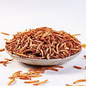 I LOVE WORMS Dried Mealworms (5lb), Wild Bird Food, High-Protein Mealworms for Bluebirds, Chickens, Ducks, Reptile, Tortoise, Amphibian, Lizard