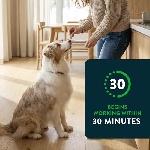 Capstar for Dogs (nitenpyram), Fast-Acting Oral Flea Treatment for Dogs Over 25+ lbs, Vet-Recommended Flea Medication Tablets Start Killing in 30 Minutes, 6 Doses | Ideal for Dogs 25+ lbs; Oral Tablet, No Mess; 6 doses; Fast Flea Knockdown