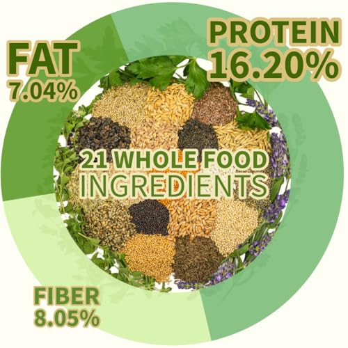 Premium Parrot Food| Protein-Rich Low-Fat Formula | Cockatiel, Conure, Lovebird, Quaker, Parrotlet | No Corn, Soy, Peanuts | Gourmet Whole Grains & Seeds | Daily Maintenance Blend (1 lb)