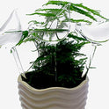 Glass Plant Watering Globes, Self Watering Globes Bird Shape, Self Watering Planter Insert, Plant Watering Devices, Automatic Plant Waterer Indoor, Watering Bulbs, 3 Pack