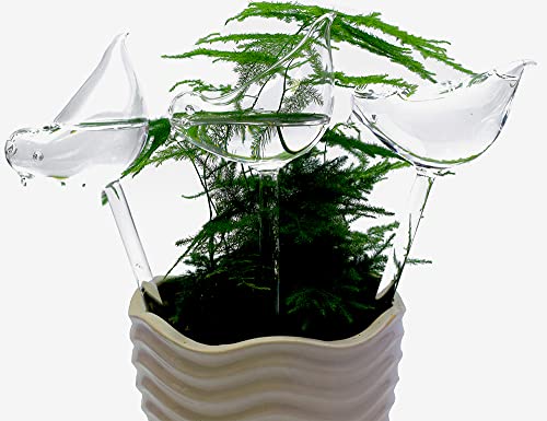 Glass Plant Watering Globes, Self Watering Globes Bird Shape, Self Watering Planter Insert, Plant Watering Devices, Automatic Plant Waterer Indoor, Watering Bulbs, 3 Pack