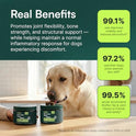 Wuffes Advanced Dog Hip and Joint Supplement with Glucosamine, Chondroitin, Omega 3, MSM, and Green Lipped Mussel, 60 Pork Flavored Chews for Small and Medium Dog Breeds