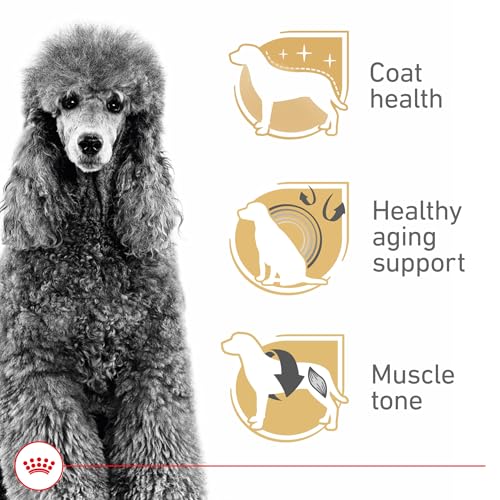 Royal Canin Breed Health Nutrition Poodle Adult Dry Dog Food, 10 lb Bag.