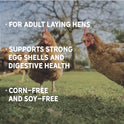 New Country Organics | Corn-Free Classic Layer Chicken Feed for Laying Hens | Corn-Free and Soy-Free | 17% Protein | Certified Organic and Non-GMO Chicken Food | 25lbs Bag