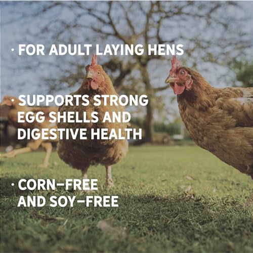 New Country Organics | Corn-Free Classic Layer Chicken Feed for Laying Hens | Corn-Free and Soy-Free | 17% Protein | Certified Organic and Non-GMO Chicken Food | 25lbs Bag